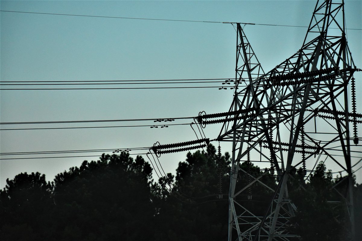 AxleWiley's tweet image. y o u t h