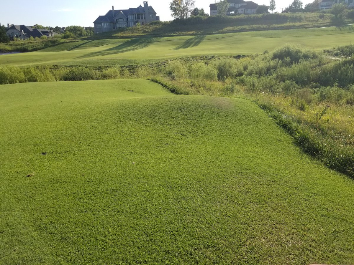 Matt Gourlay, CGCS, MG, AGS tweet media