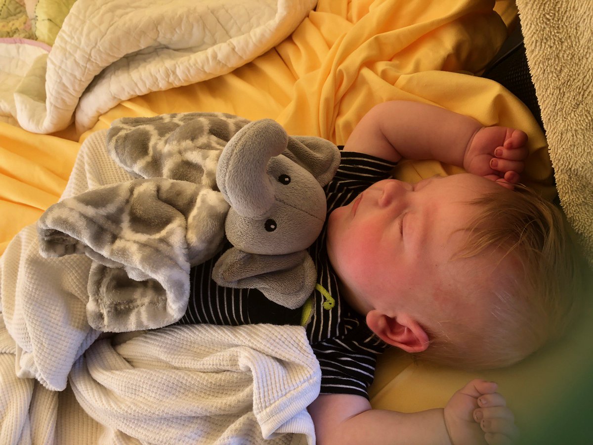 hotwheels1623's tweet photo. Two years ago we joined everyone at the annual Boonville camping trip with our pop up. Last year we skipped (and I ended up pregnant ๐) and ended up going this year with Connor for his first camping weekend! #itwasasuccess https://t.co/QxBKPFn3AR