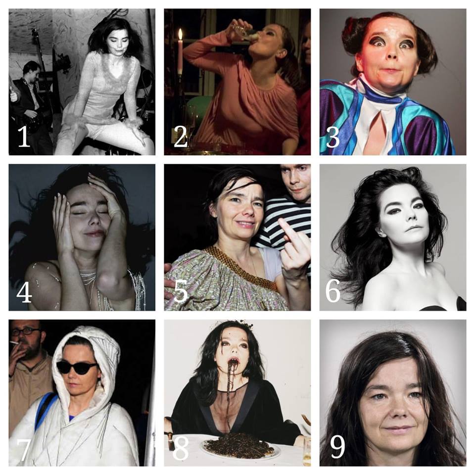 indierocks's tweet photo. En la escala de #Björk. ¿Cómo estuvo su fin de semana? 🤔 https://t.co/knMJmdrtvB