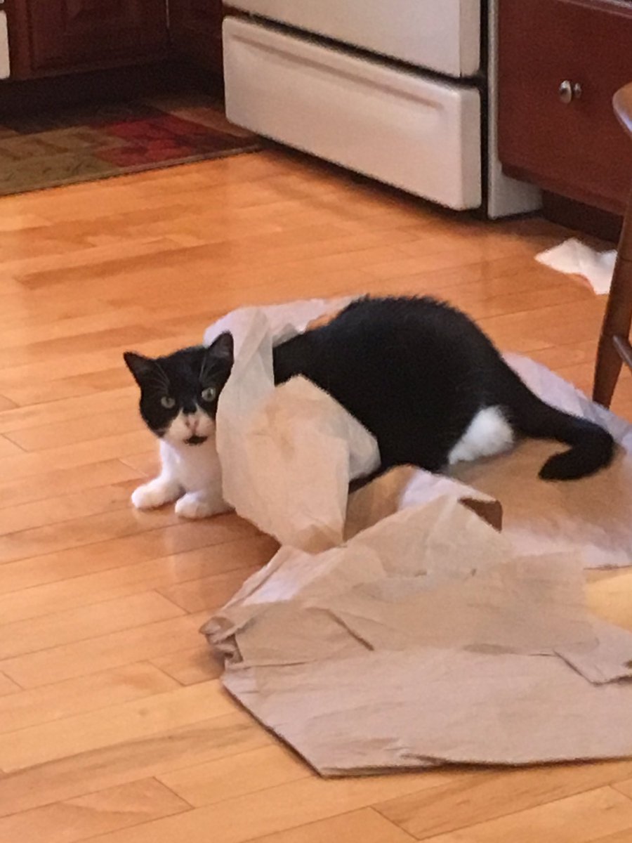 Uh 
Uh ok 
Not to alarm anyone but 
I do not know how my head got here.