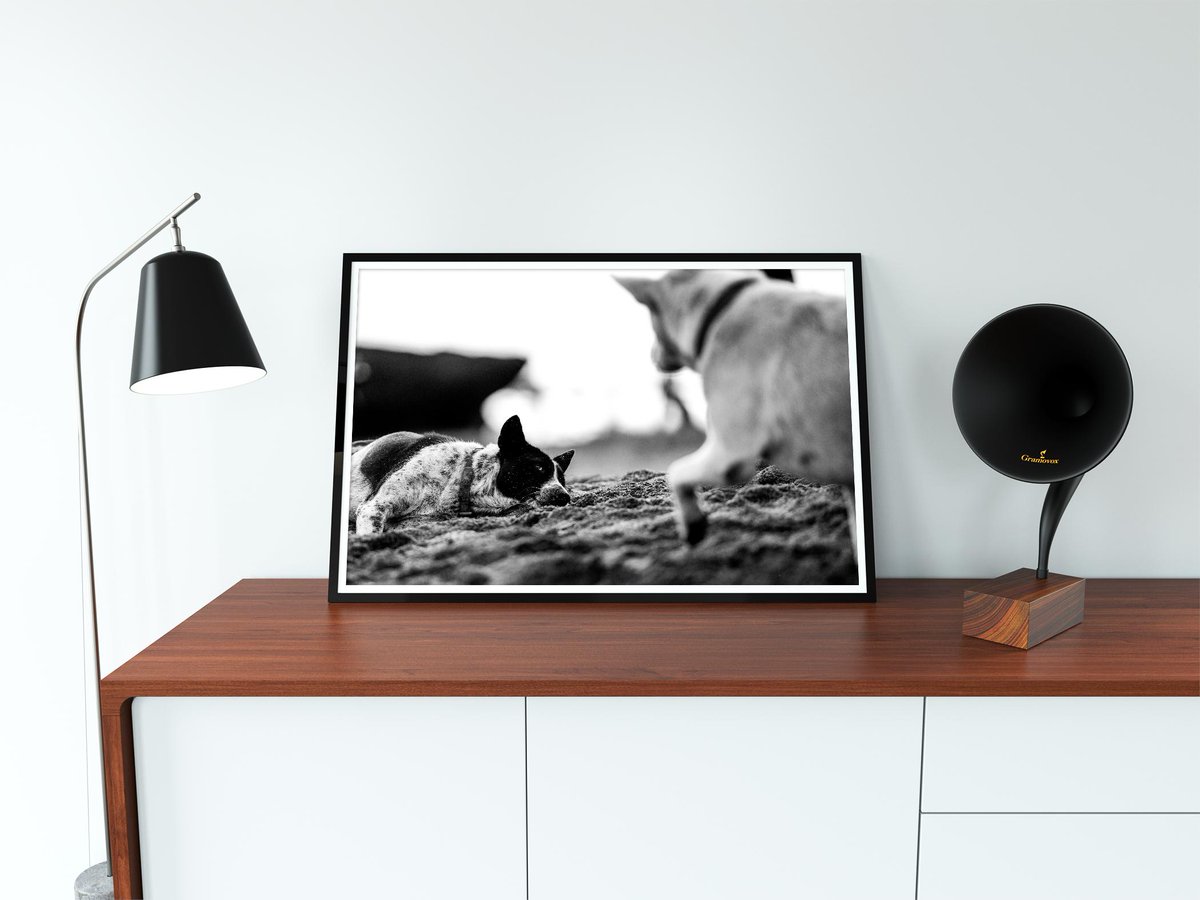 Hunter_Weiss's tweet photo. I'm very stoked to launch my print store. 

These are a few of my favorites from the selection. Go check it out and let me know what you think about it.

Code: SUMMER19 for 19% off until August 20th https://t.co/n13Hm7lYjE https://t.co/r94pw6wlkm