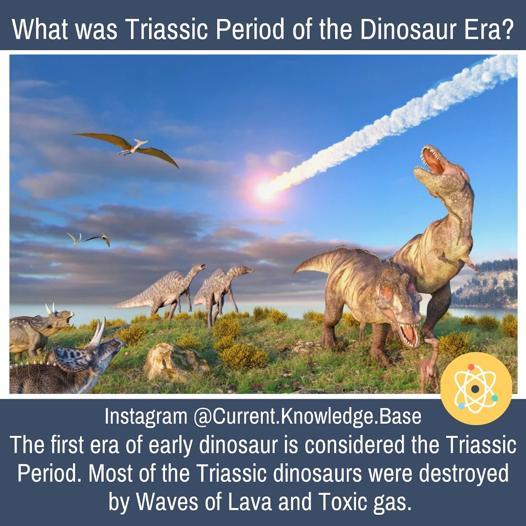 What was #TriassicPeriod of the #Dinosaur Era?

#TriassicDinosaurs were destroyed by Waves of #Lava and #Toxic gas. 

#CurrentKnowledgeBase #CurrentAffairs #DidYouKnow #Facts #DailyFacts #Gramkilla #History

#CHELEI #SaahoPreReleaseEvent #ENGvsAUS #MondayMorning #Prabhas
