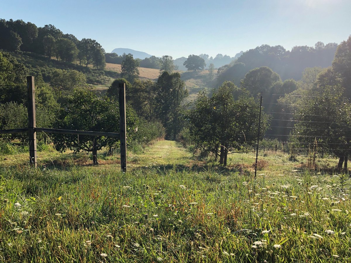 MissyBabinchak's tweet photo. Thank you ⁦@FoggyRidgeCider⁩ for a lovely visit, I could sit in the on the crush pad, looking out over your orchard, and read all day!  Saw black bear near property too!  ⁦@jbabinchak89⁩ and I will be back!!  #virginia #ciderhouse https://t.co/pRxWg5k2XL