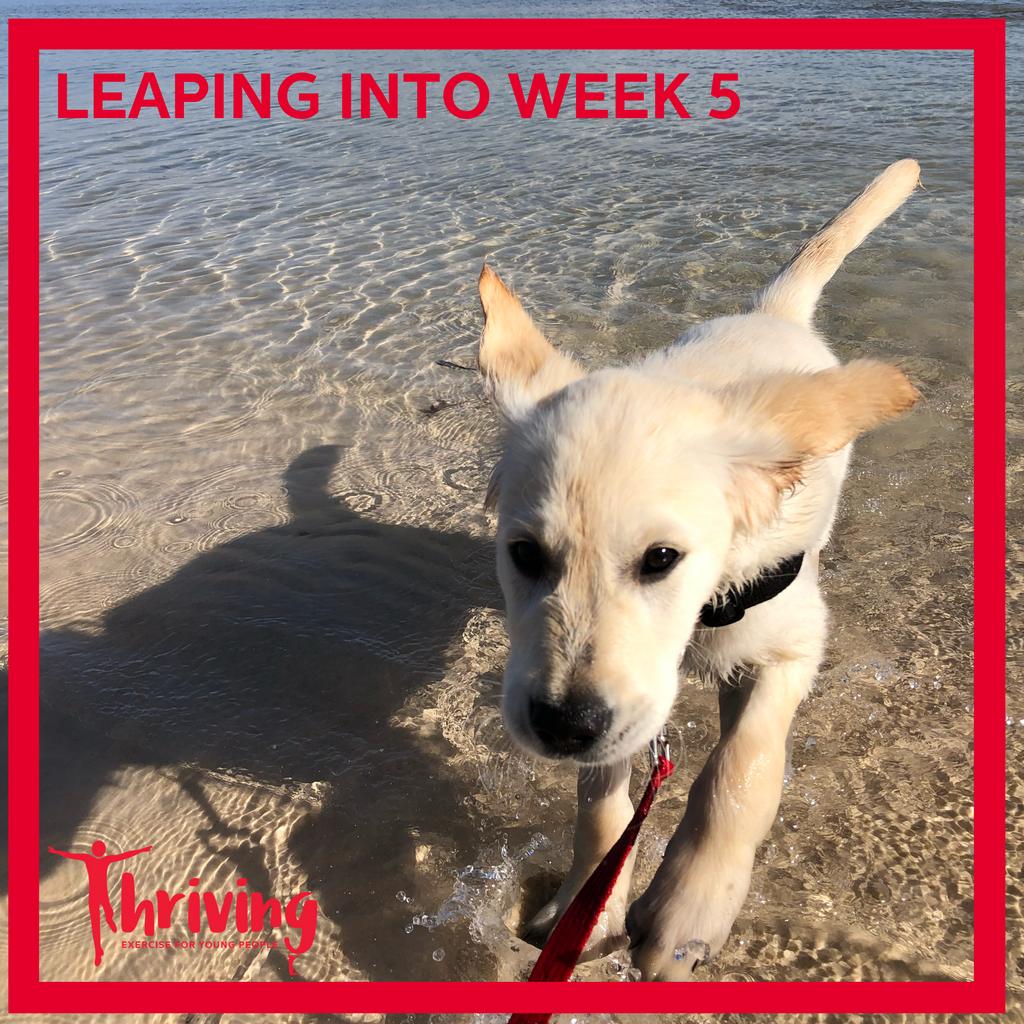 Time flies when you're having fun and working hard!!
.  .  .
Bring on Week 5 of #Thriving at <a href="/ScienceUWA/">Science at UWA</a>  🏃 🏀 🤸 
.  .  .
#teamthriving #thrivingfit #exerciseexpertise #exercisetothrive #kids #youngpeople #exercise #health #physicalliteracy