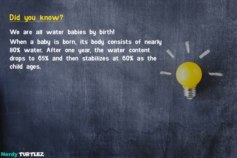 nerdyturtlez's tweet photo. Did you know?
We are all water babies by birth!
When a baby is born, its body consists of nearly 80% water. After one year, the water content drops to 65% and then stabilizes at 60% as the child ages.

Amazed? Well, that's just a fact. Nerdyturtlez has a lot more to surprise you! https://t.co/ySkznYy0Z4