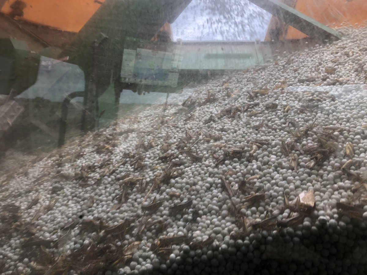 Cary Wock tweet media