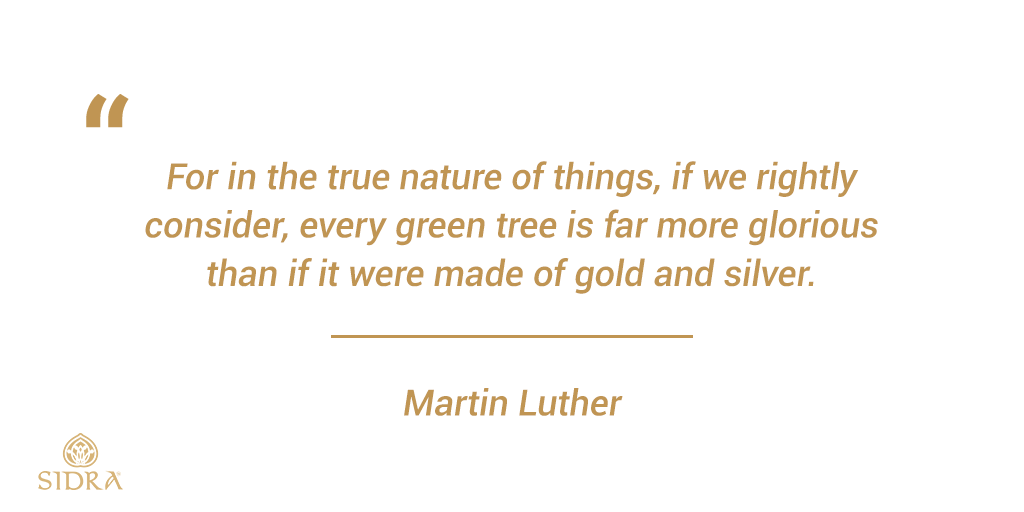 GlobalSidra's tweet photo. If we recognize the importance of keeping #nature clean and keeping it #healthy then we have the blessing we need. Considering the things it can provide and the illnesses it can cure. #plantbased products are always the best option.
.
.
.
#naturebenefits #naturalbenefits https://t.co/jnCbDxiXXC
