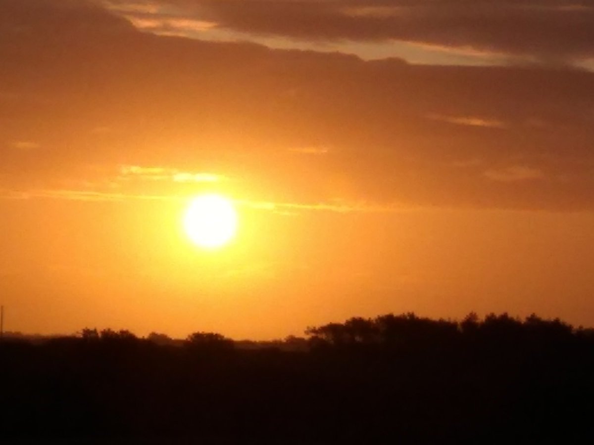 LlanfairPlas's tweet photo. Bore da, good morning from #TyPerllan at #PlasLlanfair #Anglesey #herecomesthesun #sunrise #sunrisers @AngleseyScMedia @ruthwignall @DerekTheWeather https://t.co/hJy9qKfc5F