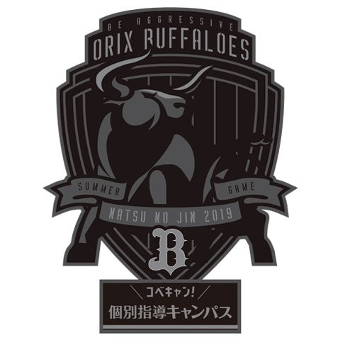 8/25(日)北海道日本ハムファイターズ戦において「Bs夏の陣2019