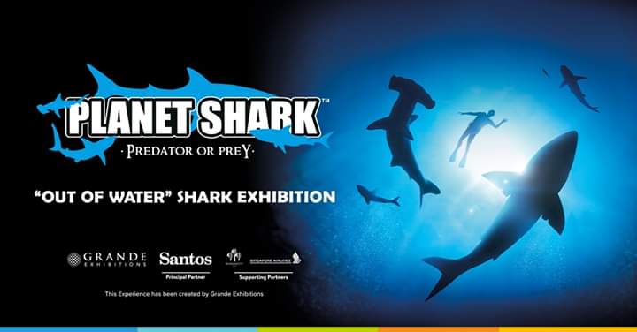 PerthHorrorFans's tweet photo. Don't miss your chance to attend Planet Shark Predator or Prey open until August 26th @wamuseum #wamaratimemuseum
#perthhorrorfans #perthtodo #perthevents #perthmums #perthdads #perthmumsandbubs #perthkids #perthparents #kidsinperth #shark #jaws #perthgeek #perthnerdherd https://t.co/qomHLwtJot