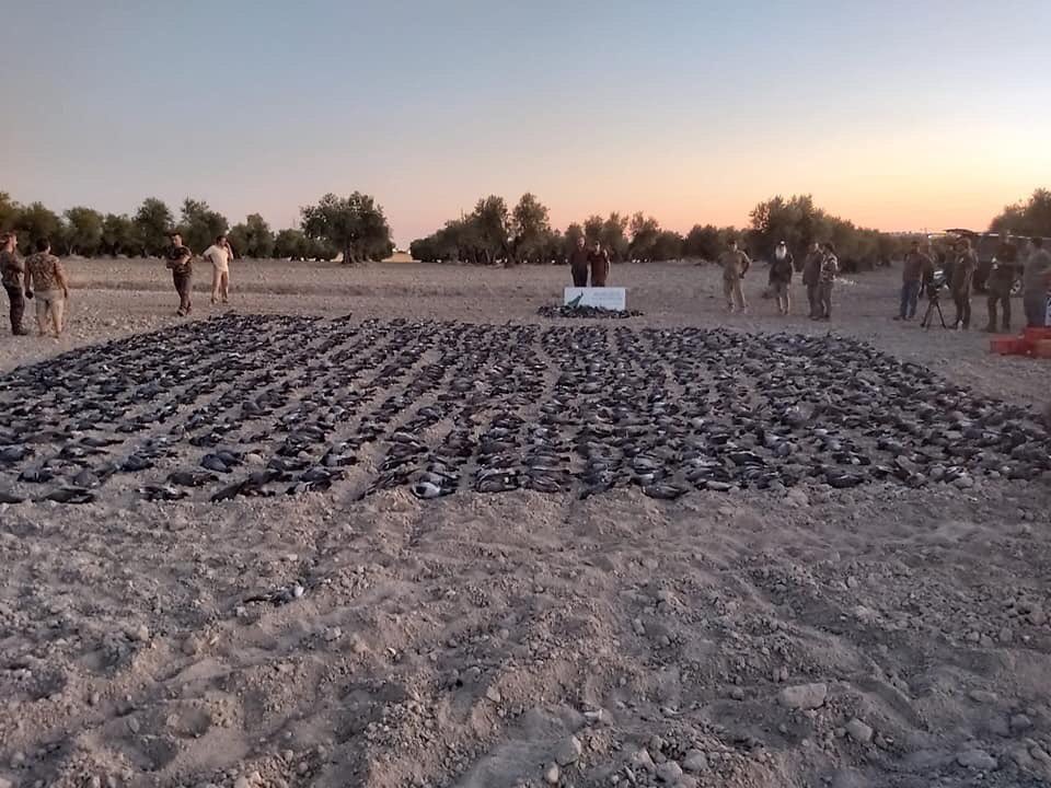barquerosb's tweet photo. 3500 aves abatidas por cazadores en Pinto (Madrid) en una sola jornada. Disparan por placer, matan indiscriminadamente, se han convertido en la primera causa de la extinción de las especies, según Naciones Unidas. #Stopcaza https://t.co/4dyyd9ApP6