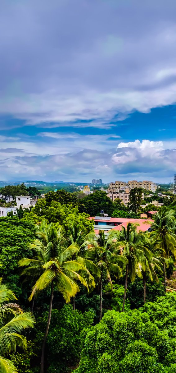 masalaadosa's tweet photo. Just another beautiful day 🙋 #ShotonOnePlus
#OnePlus #Oneplus6 
#PhotographyDay https://t.co/SeIg13v8yk