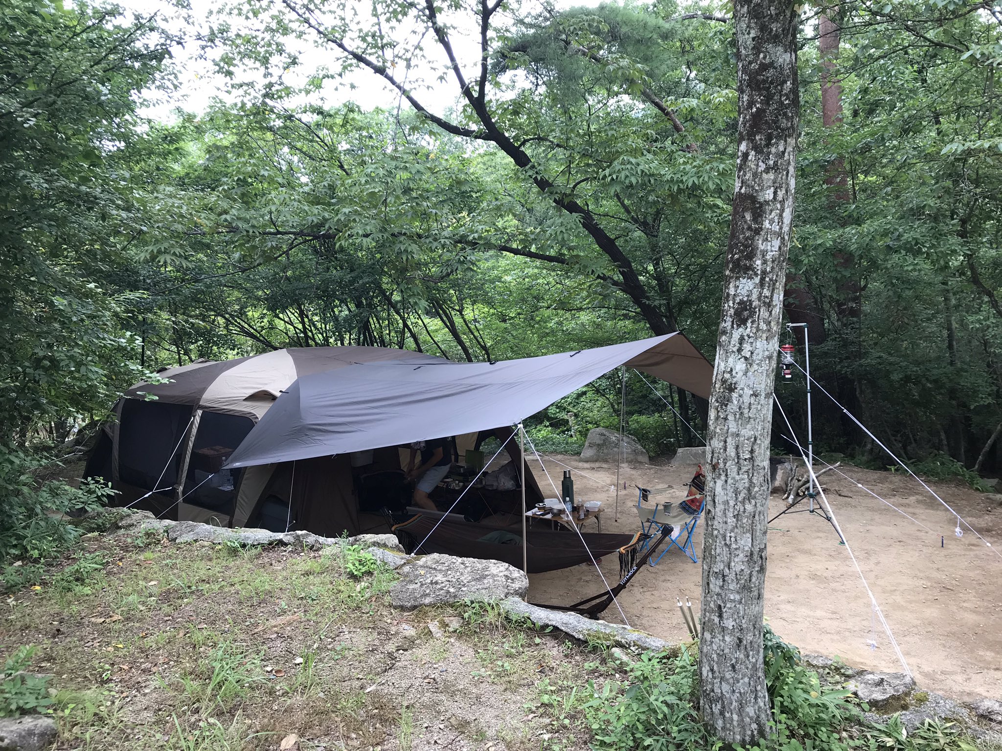Cherry 19 8 18 能勢camp ティエララルゴとddタープでなんちゃって小川張り 犬連れはベンチが便利 ほとんど寝てるお年寄り犬 昨夜温泉から戻って キャンプ場の敷地に入ったら鹿の親子がいた 子どもが取り残されたけど お母さんと会え Cherry 19 8 18 能勢camp ティエララルゴとddタープでなんちゃって小川張り 犬連れはベンチが便利 ほとんど寝てるお年寄り犬 昨夜温泉から戻って キャンプ場の敷地に入ったら鹿の親子がいた 子どもが取り残されたけど お母さんと会え