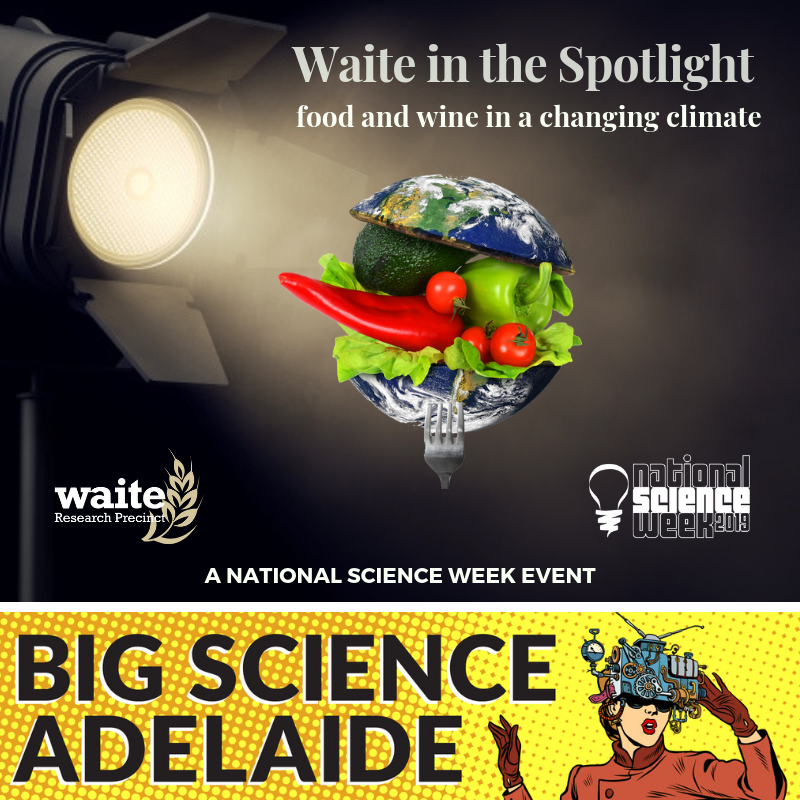 Tomorrow at Waite: join Peter Hayman, Paul Petrie, Kerry Wilkinson, Rachel Burton and Doug Bardsley in a discussion about the impacts of a changing climate on food &amp; wine, and how their research is helping to ensure these industries can adapt. thewaite.org/event/waite-in… #scienceweek