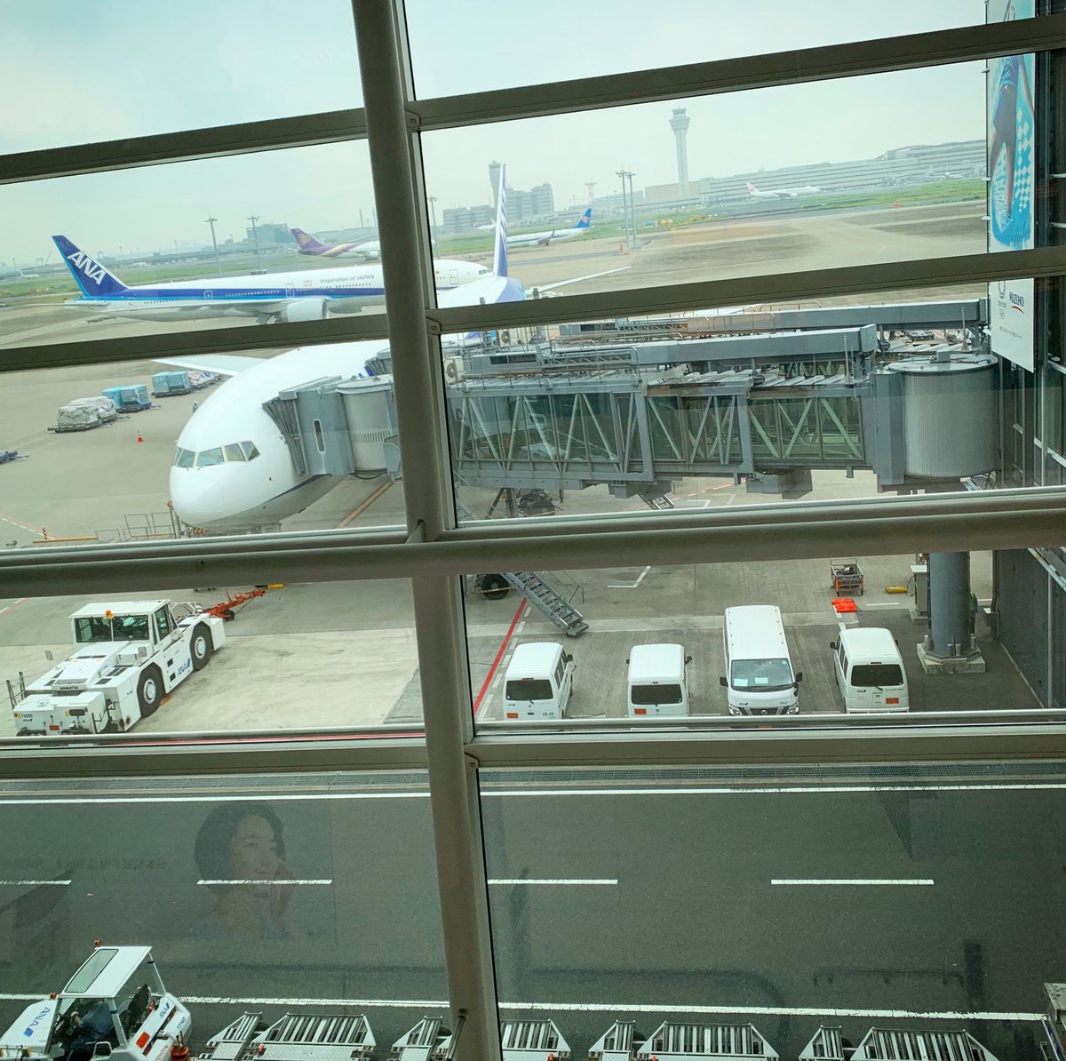 You_RiYamanaka's tweet photo. I’m flying back to the UK at last!! やっとイギリスのうちに帰るよ〜!#uk #flyingback #flying #hanedaairport #allnipponsirways #actorslife #homecoming #homecomings #tokyo #japan #イギリス https://t.co/ZpeuXS3Fyq