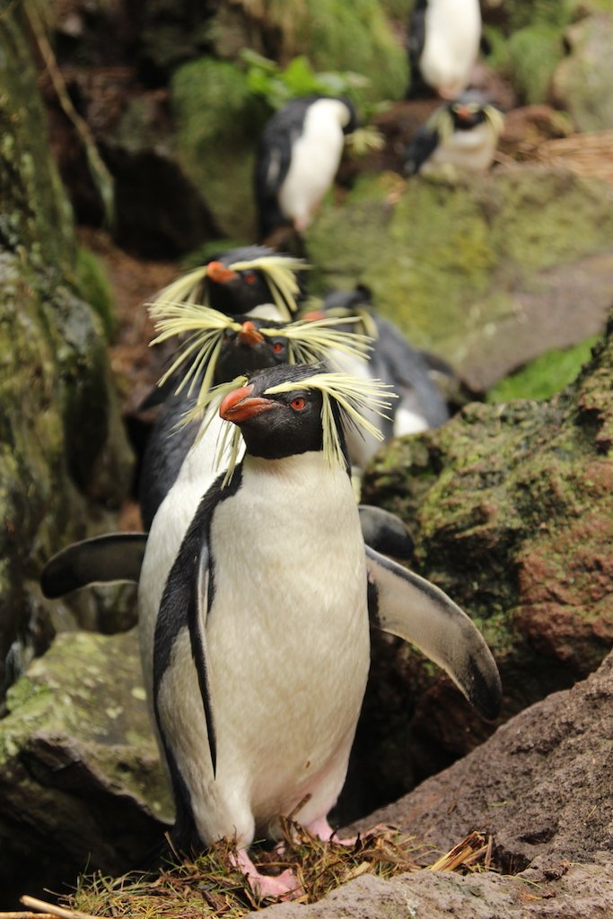 Cool job alert: #Lecturer or Senior Lecturer position in the area of Population Genetics and Conservation <a href="/portsmouthuni/">University of Portsmouth</a> <a href="/UoPBioSchool/">UoPSchool of Biology</a>  bit.ly/33S28jE