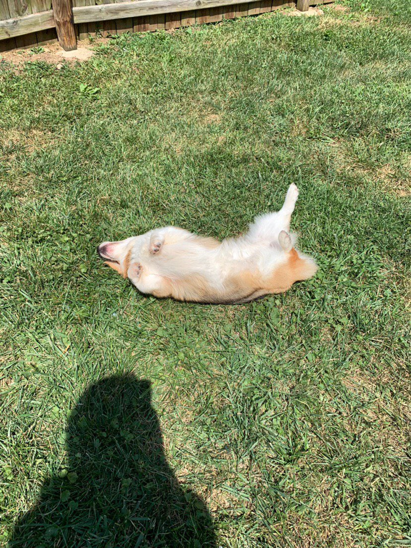 koisnake's tweet photo. Roommate sent me these photos of Gravity https://t.co/K0wADmJGi8