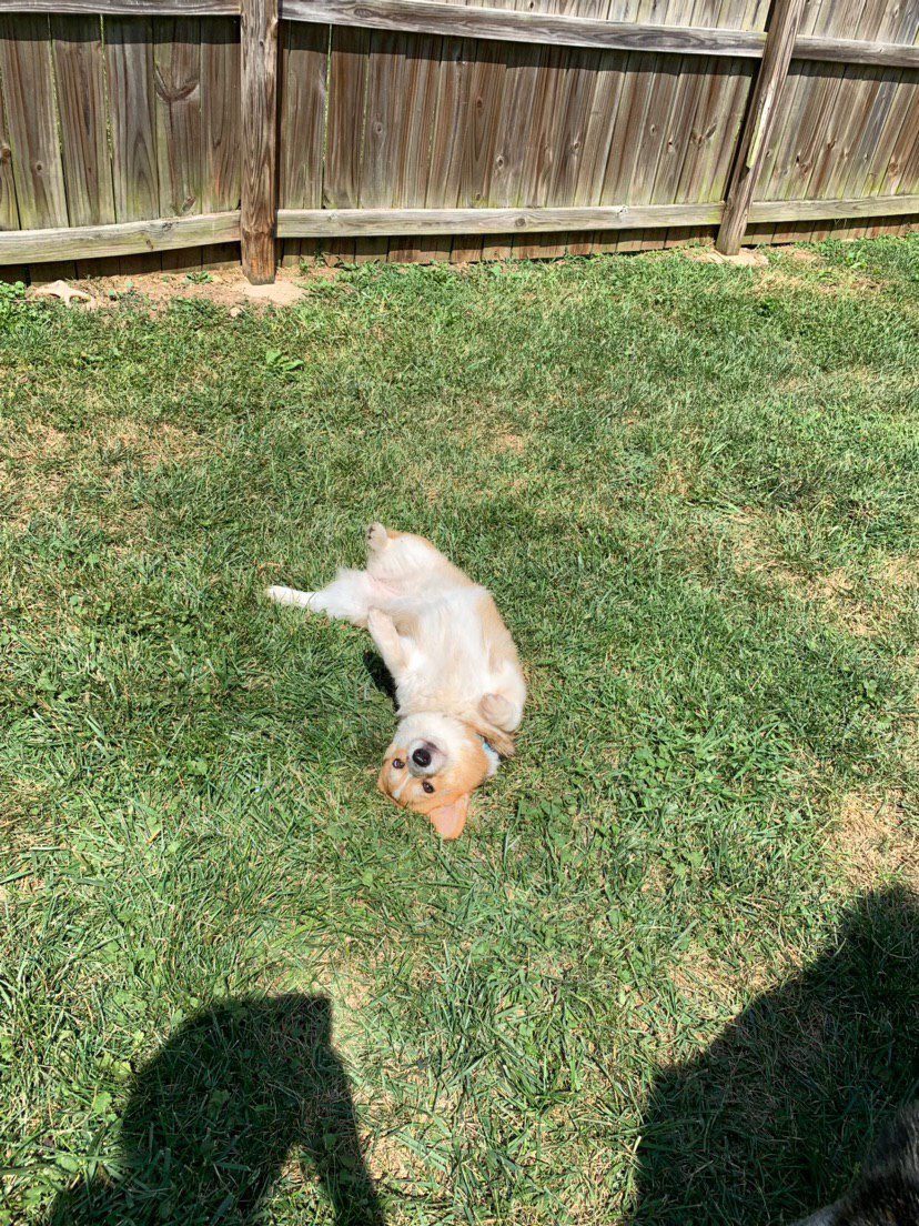 koisnake's tweet photo. Roommate sent me these photos of Gravity https://t.co/K0wADmJGi8