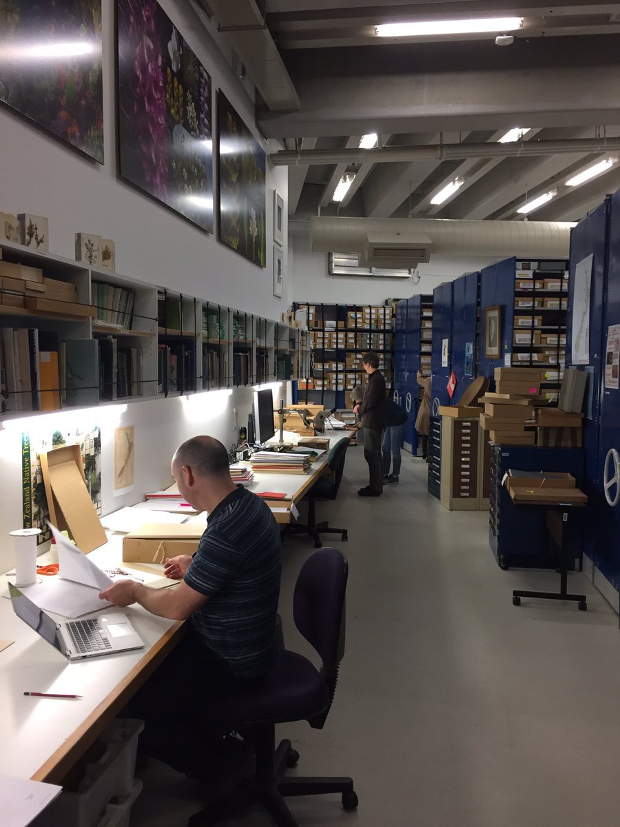 CarlosLehnebach's tweet photo. Mad about #NaturalHistory? keen to work @Te_Papa along #botanists in a collection of 300K specimens? want to know more bout #taxonomy #herbarium #DNA #evolution? Apply to a Summer Research Scholarship @VicUniWgtn frm 2 Sept. read Justin's last year project https://t.co/7siwe5I1ml https://t.co/4C9NbXdrex