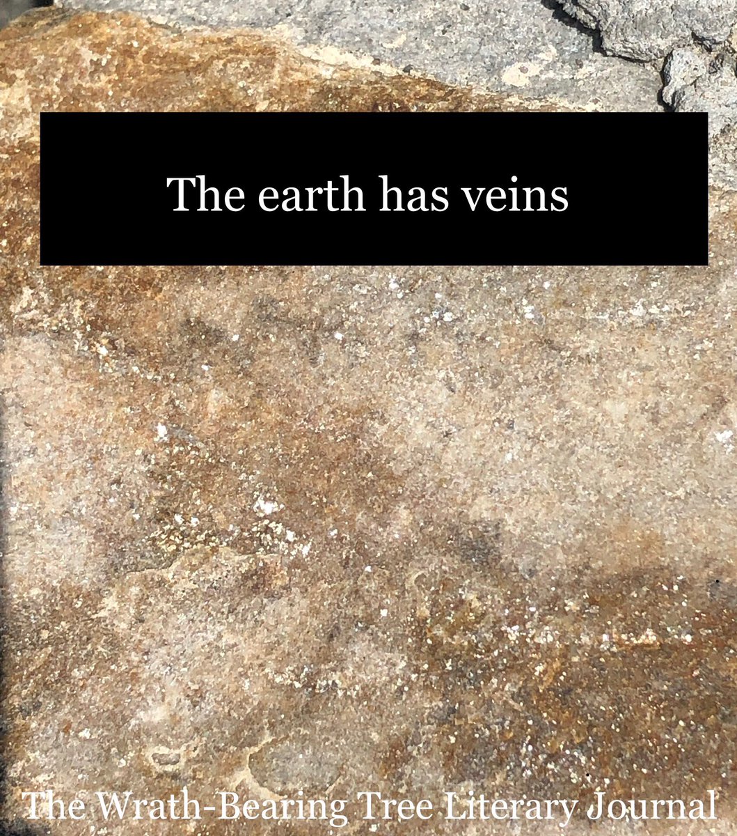 amalieflynn's tweet photo. Thinking about a great line from Shana Youngdahl’s poem “After the Maine Tin Min Company Prospectus, 1880” - You can read it in our 1/2019 issue of @WrathBT
https://t.co/NP459IveGI
#poetry #wrathbearingtree #literaryjournal #warwriting #writing https://t.co/pEMyfkMA9j