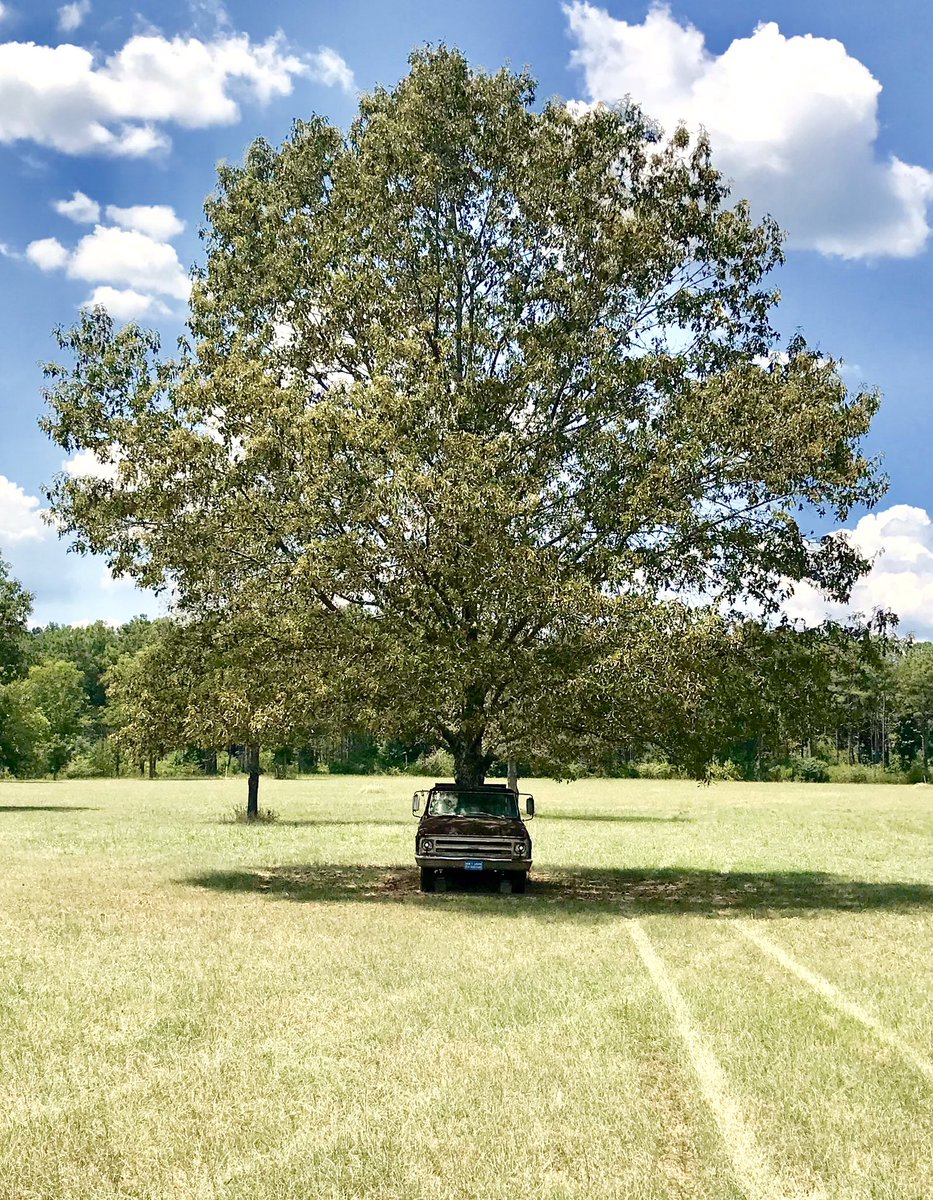CBFnewchurches's tweet image. Field art in Selma. This one took a really long time to create. I love seeing this tree in a truck on my way to church every Sunday! #Selma #art