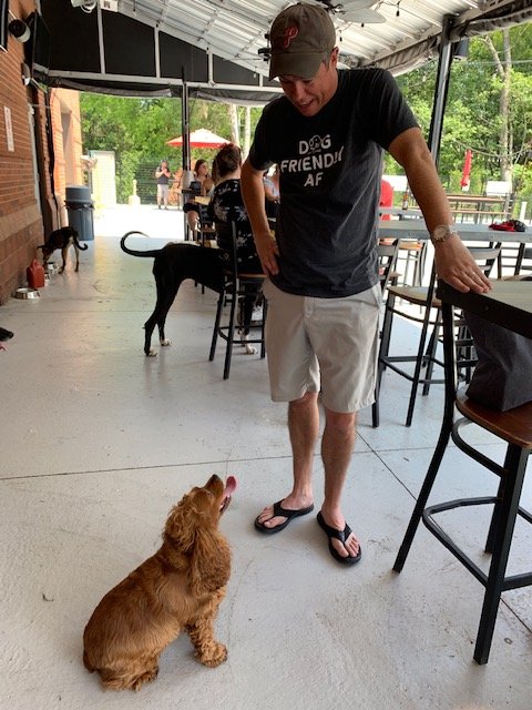 littlepenny2015's tweet photo. More shots from today's #pride dog party. Good times were had by all dogs and humans!
#658create #dogs #party #Pride2019 #DogsofTwittter #DogLife #dogmom #cockapoo #sunday #fundaysunday https://t.co/z8835u6clw