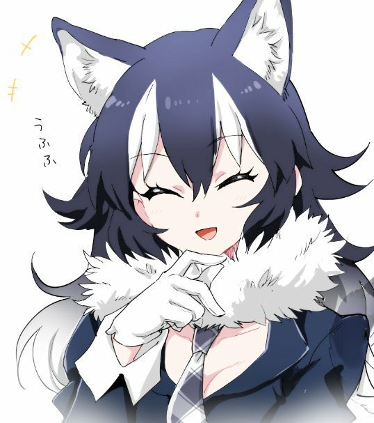 Half Human Half Wolf Anime