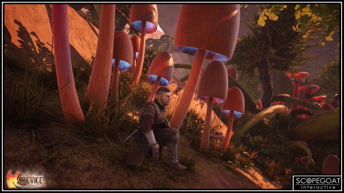 realscopegoat's tweet photo. Exploring the mushroom forest...🐛🦋🦂
#RPG #UE4 #Indie #gamedev #fucklootboxes #fuckmicrotransactions #dragon #Story #game #ThirdPerson #Singleplayer #PCGaming  #PC #magic #medieval #fantasy #roleplaying #game #island #environment #leveldesign #art https://t.co/6v74FSFHG5