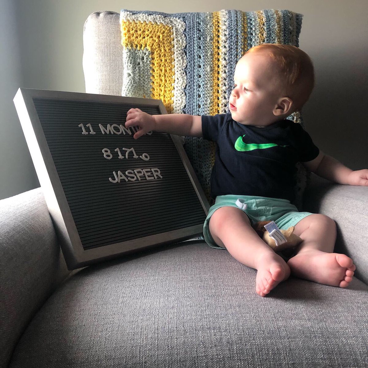 StaatsMolly's tweet photo. 11 months in the life of Jasper: Where the days of posing nicely with the sign are long gone. #imnotcrying #yourecrying #jasperboy https://t.co/DewyQzQ6f0