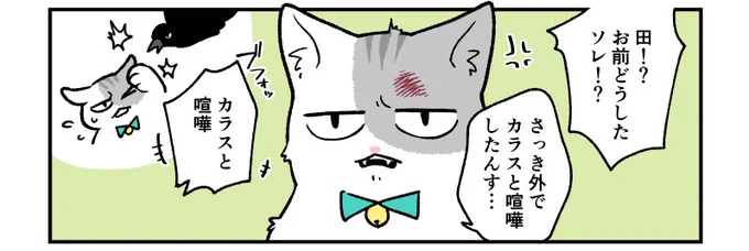 今夜19時頃にモフ田くんの漫画アップします?☺️

今日の漫画はモフ田くんの“顔”が殆ど出てきません…??
怪我痛そうだねモフ田くん? 