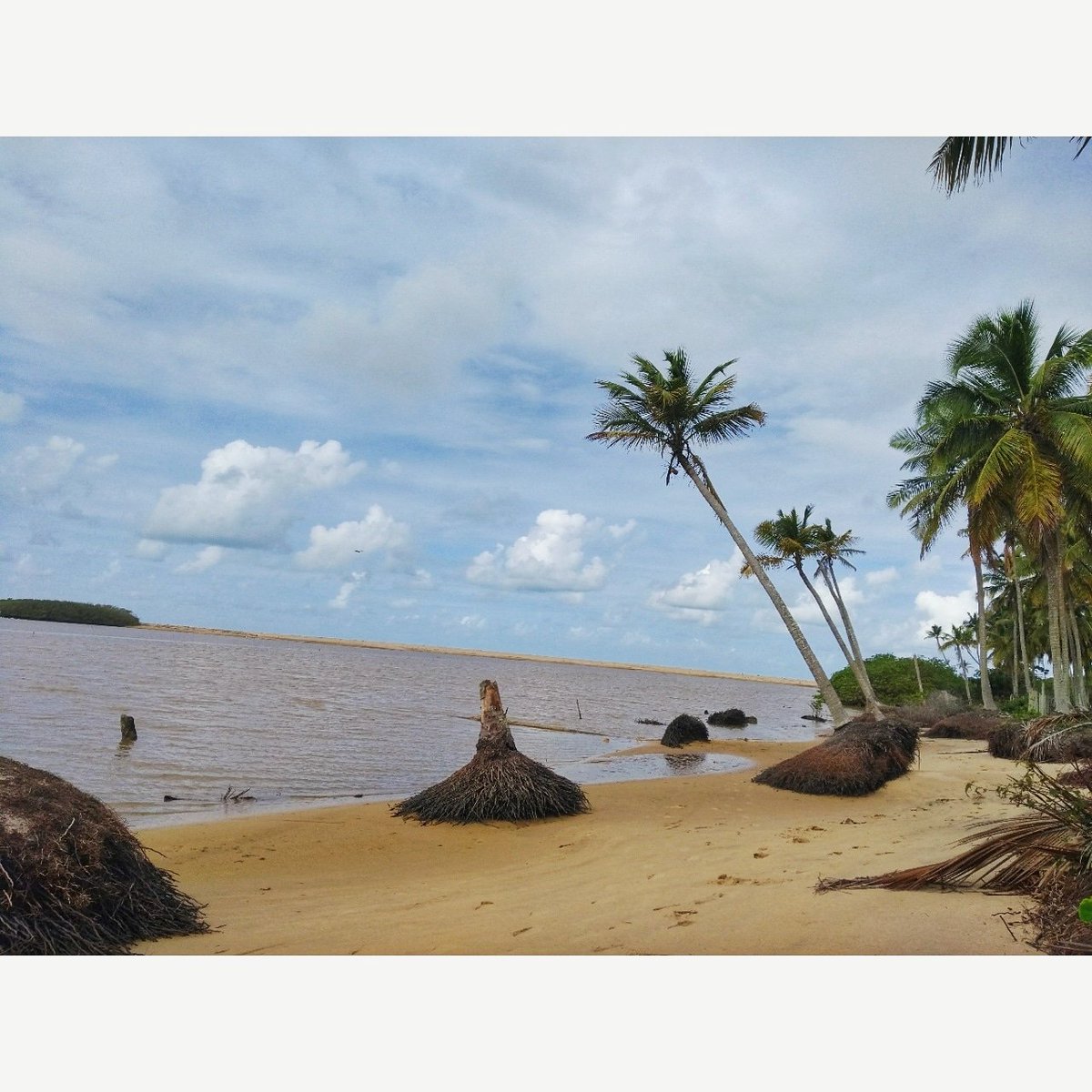 Matheus55486286's tweet photo. -1/3🌊🌴
    Da vida eu quero a paz,a saúde e a beleza da natureza.
Das pessoas eu quero o respeito. https://t.co/1NVX1sqU35