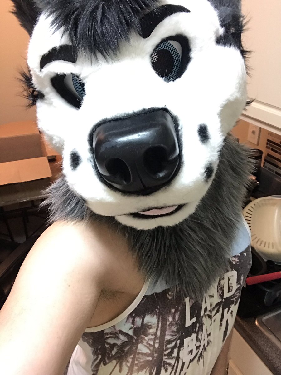 KenzotheGrayfur's tweet photo. Happy fursuit Sunday!!#rumwuff #rumwolf #wolf . Had fun at the Mnfurs meet at the oval today. Shoutout to @pawshaveclause @hrtfltruth @Ignitex96 @RentonWhitetail @AngusCormac ! A few others I said hi to as well. https://t.co/34IsETXtR2