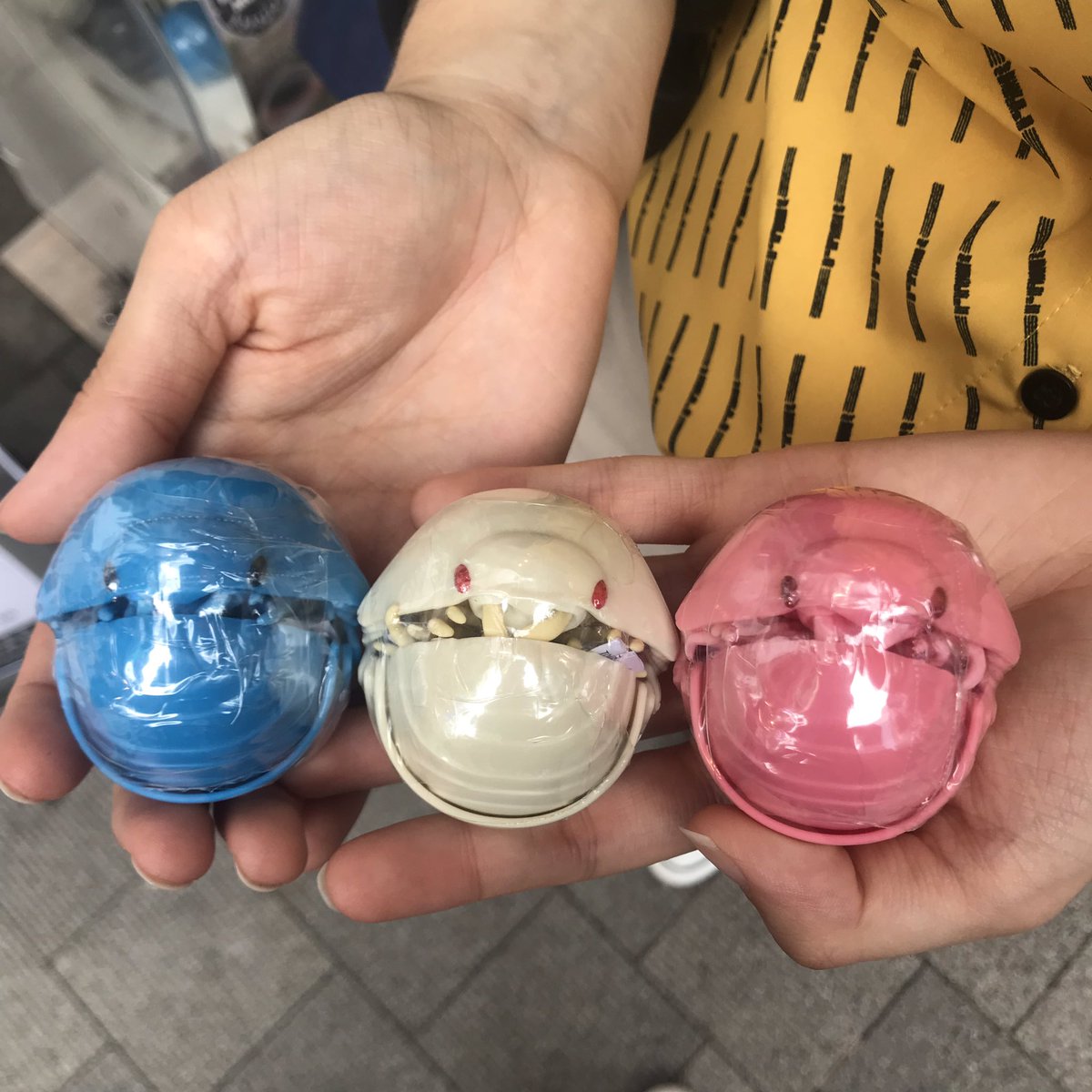 koisnake's tweet photo. @tsulala I pulled three pillbugs! Tell me which color do you want 🖤 https://t.co/sdMG9gzgFt