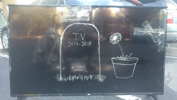 shareitsfunny's tweet photo. Died Before Its Time - https://t.co/hw5YVU7sKD - #funnypics https://t.co/ORUh9Ornhm