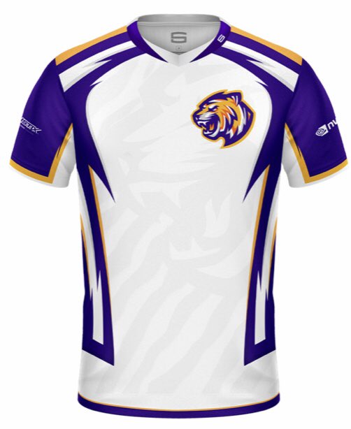 drewb_247's tweet photo. Just Ordered An LSU Esports Jersey! Glad to support @EsportsLSU! Can’t wait to rep https://t.co/MpWvMhJ8Al