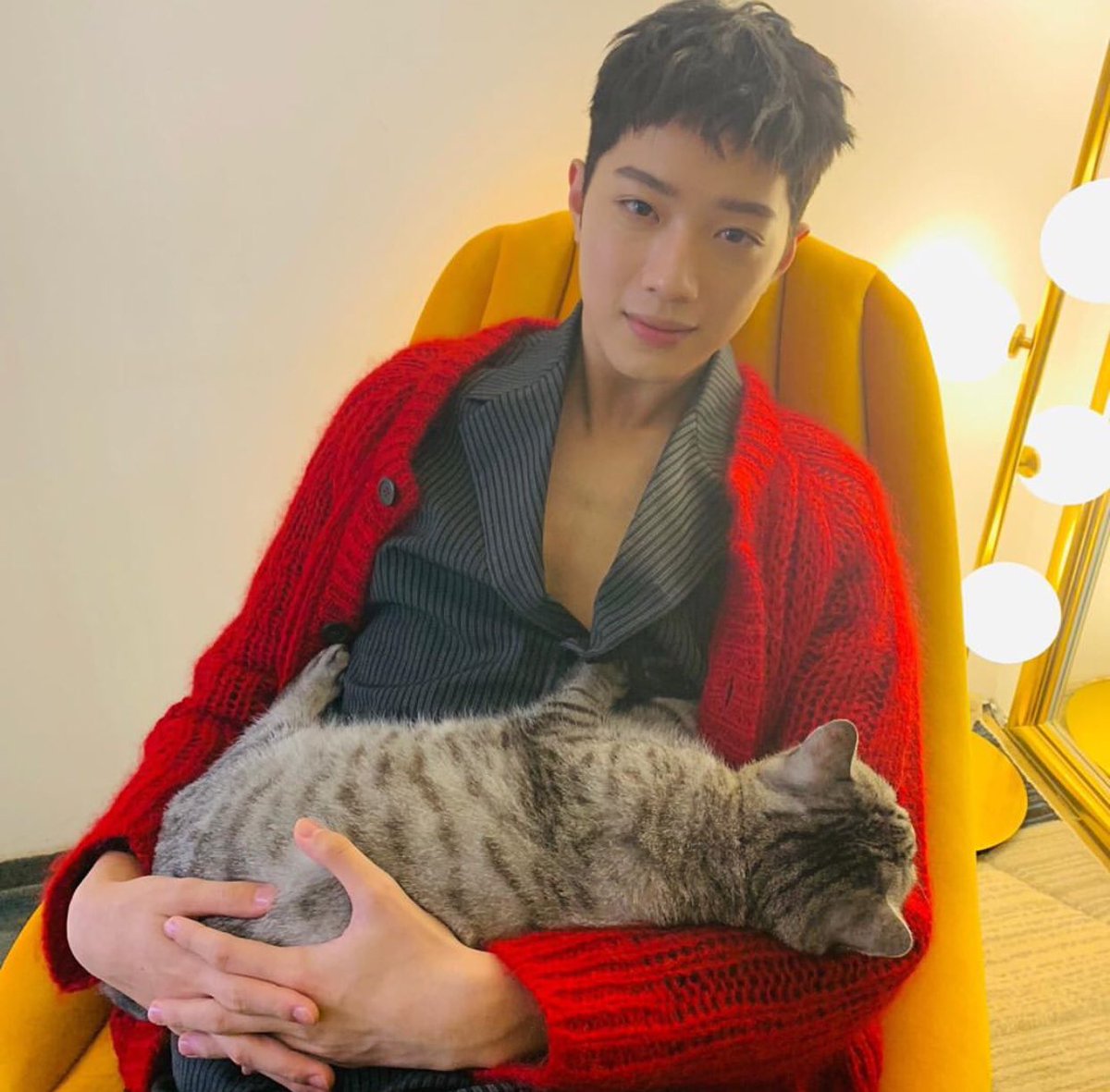 delubaper's tweet photo. Kucing nya segede bayi. https://t.co/4nBobdEKeS