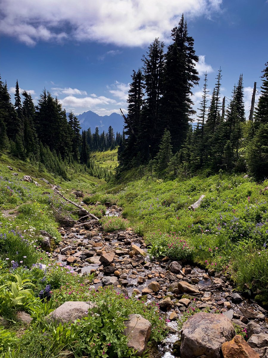 JHuertaK5's tweet photo. Camp Muir. @KING5Seattle #k5explore #wa #pnw #rainer @TedLandK5 @srobertsontv @DustinGagneK5 https://t.co/cpBD1Z2GZj