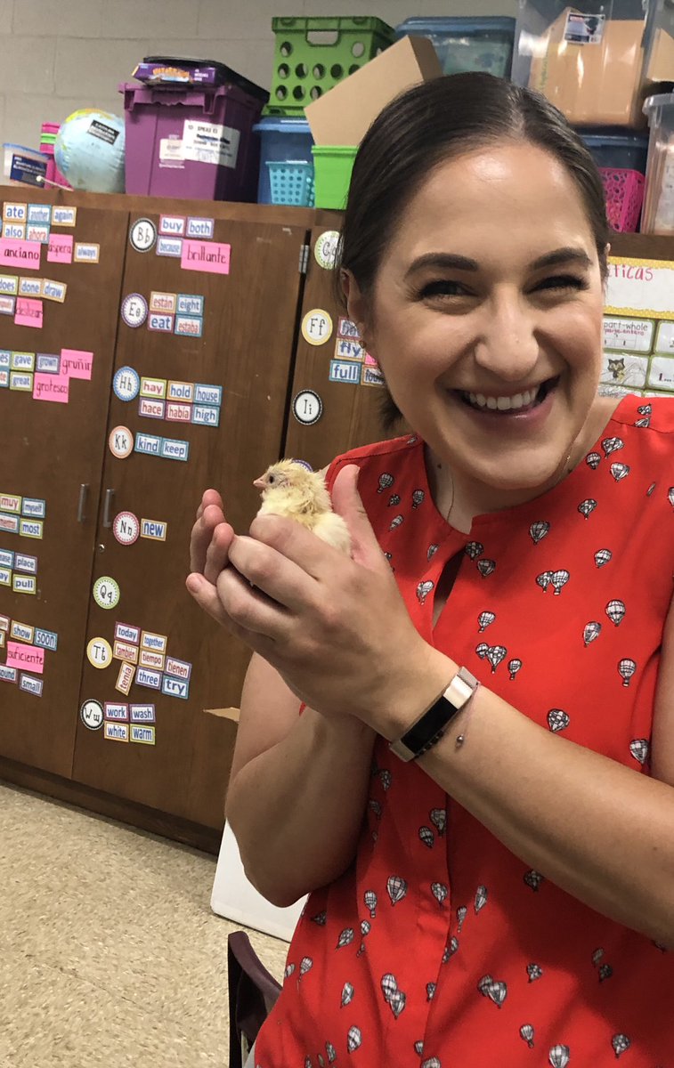 argteach_bermud's tweet photo. Second grade bilingual/ dual language immersion teacher from 🇦🇷 teaching in NC . In need of Spanish supplies, art supplies for integration into literacy and supplies to make my classroom more inviting https://t.co/GgfjEGJ28Z https://t.co/amWRwdjK9n