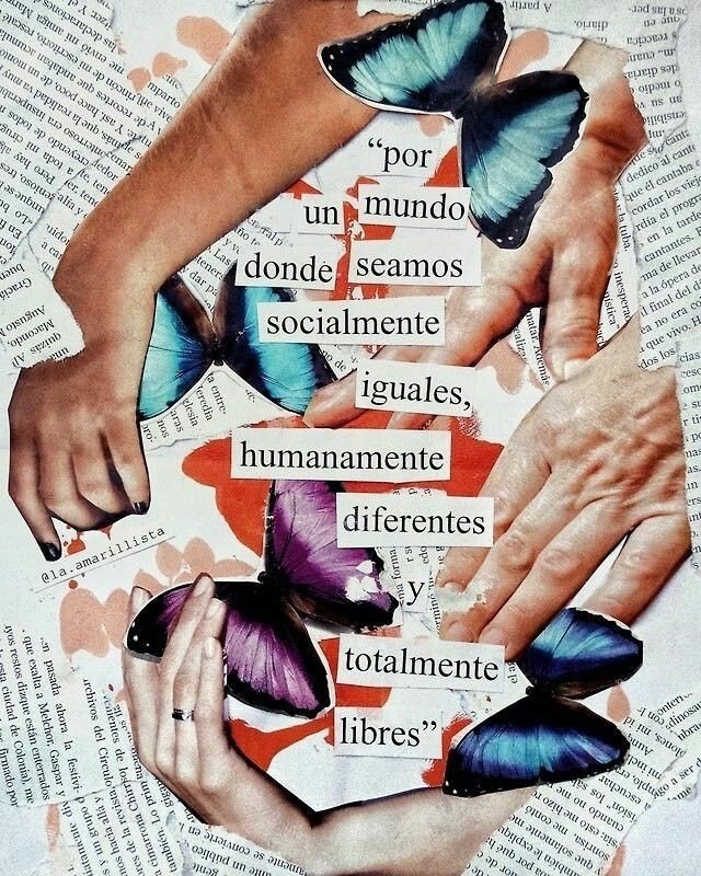 eloufantes's tweet image. 