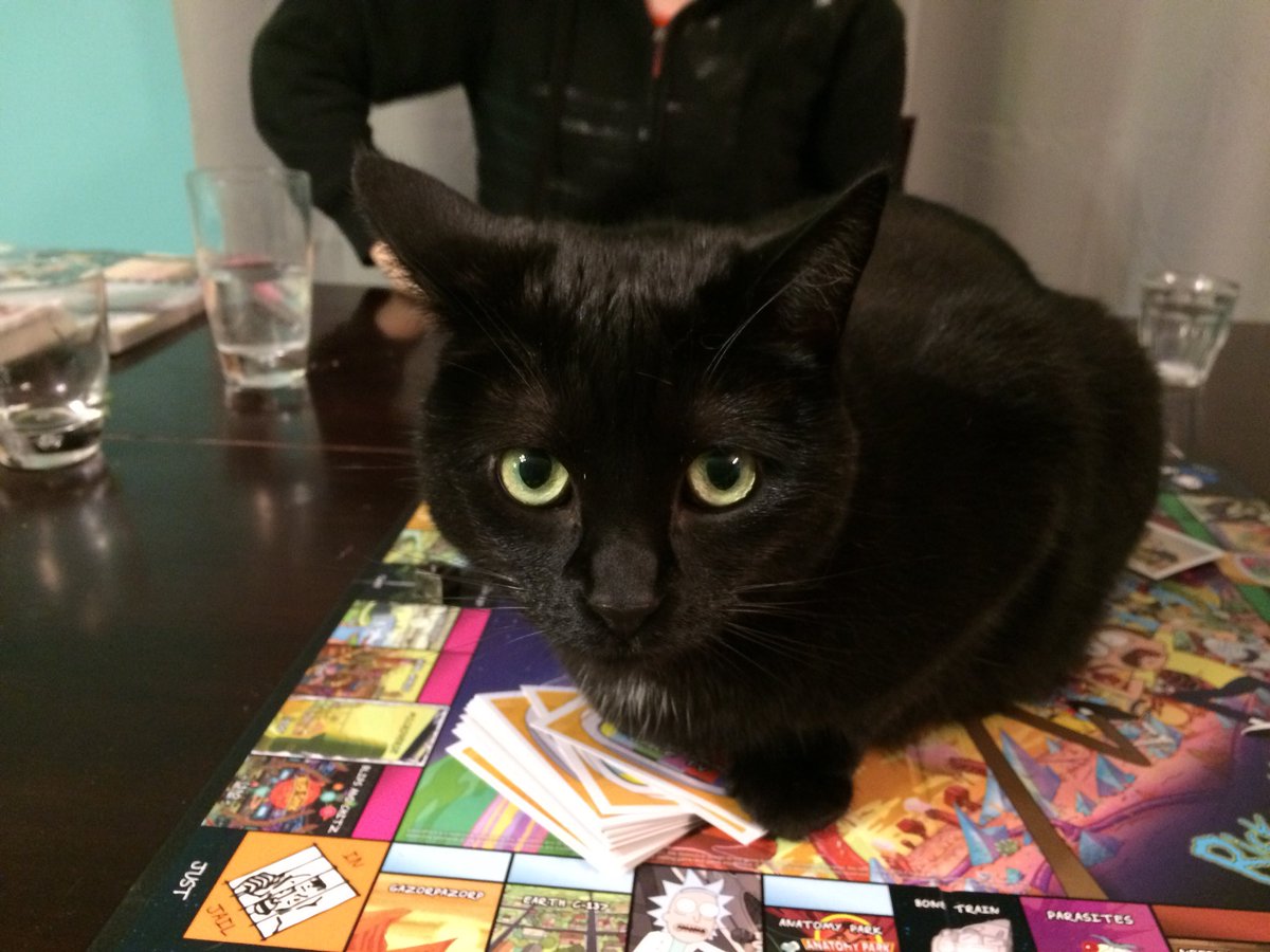 KimDexter15's tweet photo. @SimonsCat Destiny https://t.co/XqtVU11pW4