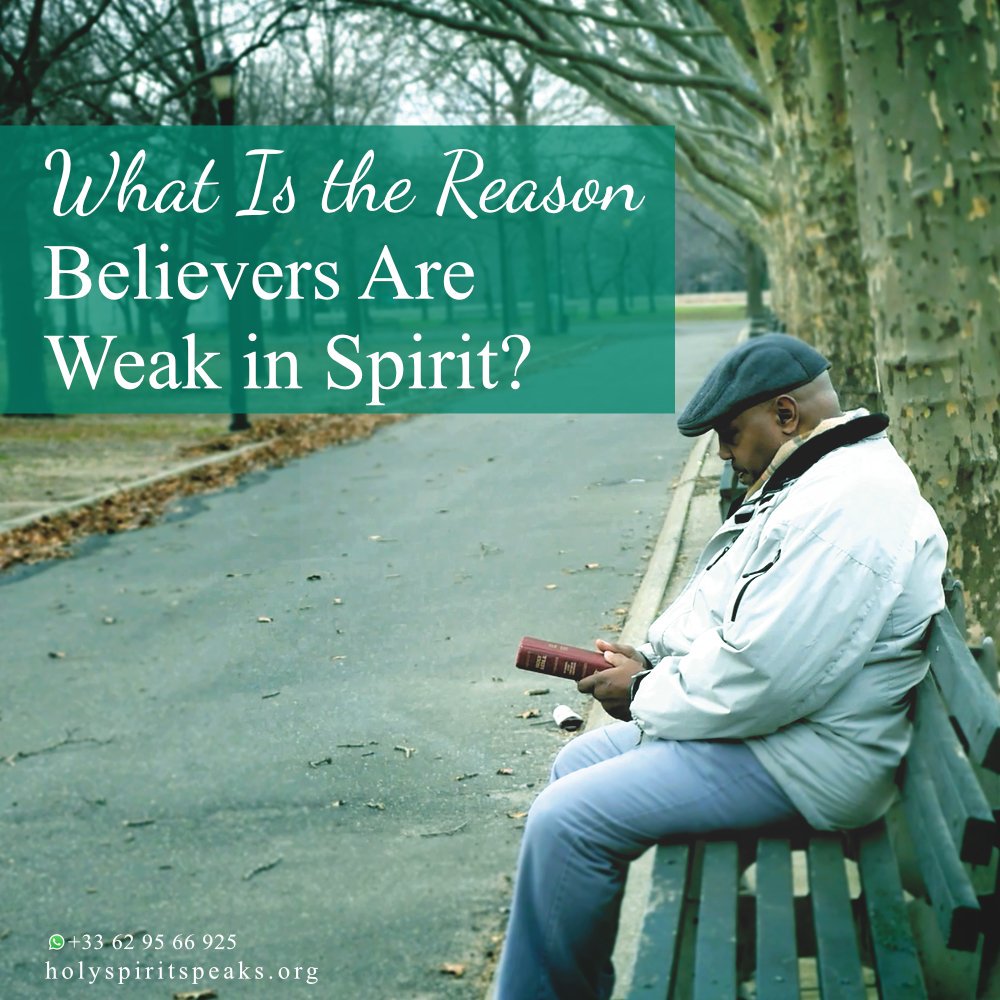 Andy40569733's tweet photo. Friends, do you know?
#believers
#in_spirit
#weak
@shelby_dottie
@HayleyElliott23
@Dvickery73
@UnitedDiciples
@Toniaaaaah
@ortinez25
@DentonKollar https://t.co/PcFWtdIG4R