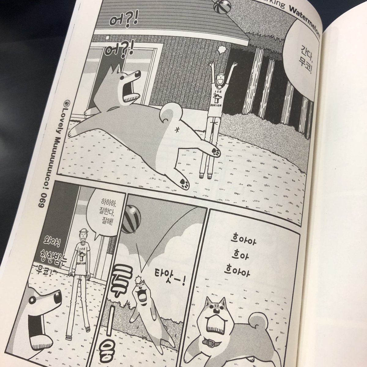 いとしのムーコ韓国語版の8巻ができました。昔勉強したのでハングルを読むことはできるのですが意味は全然わからない!
잘 부탁드립니다! 