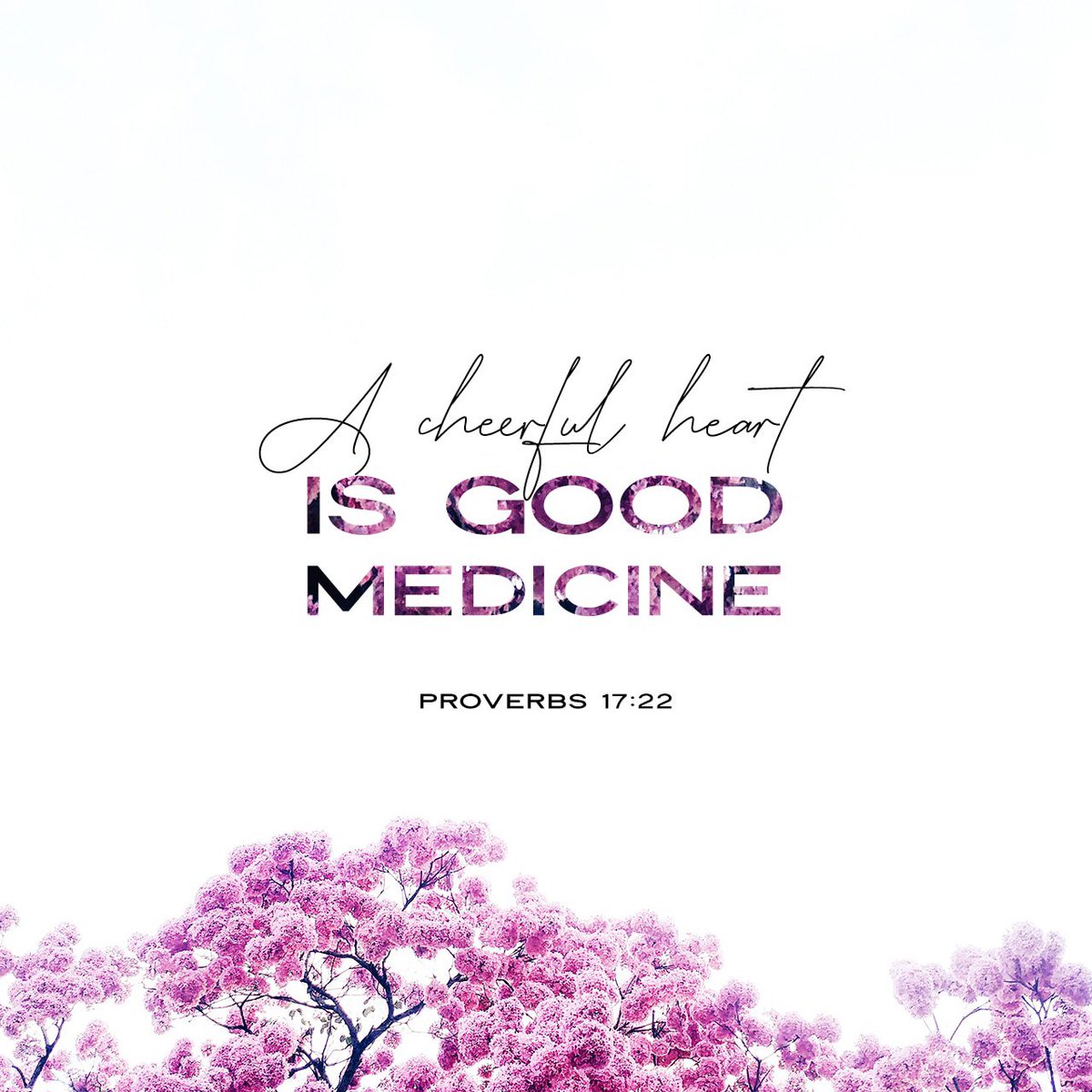 belmont_mandy's tweet photo. Proverbs 17:22 https://t.co/bk9TOmsYMq