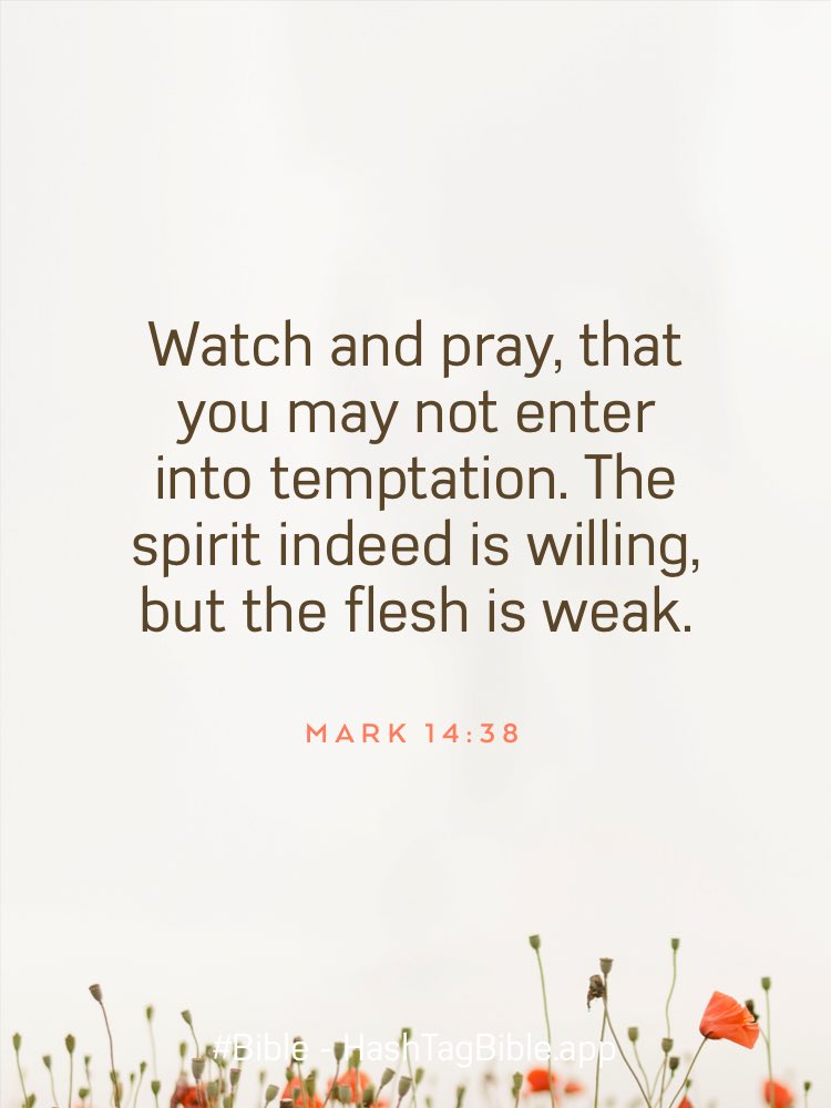 alisonnance's tweet photo. #Bible https://t.co/t21z1KnGeq https://t.co/NsEQN5ezh4