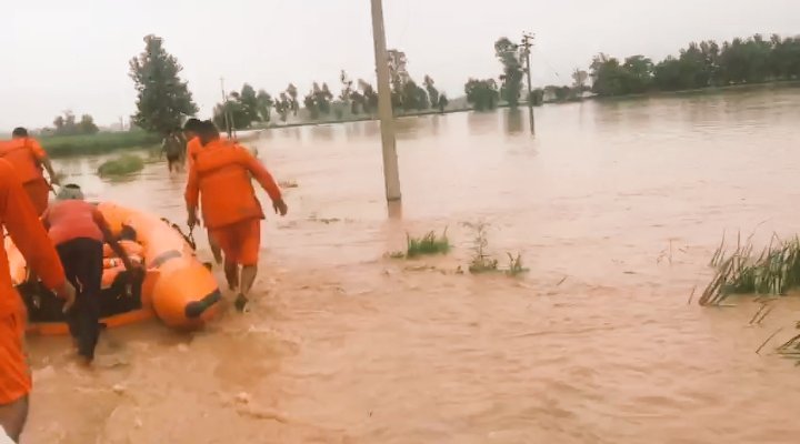 NDRFHQ's tweet photo. #Floods2019
#NDRFDeployment
@ Jalandhar, Punjab 
#COMMITTED2HELP
#COMMITTED2SERVE
#NDRF4U 
@satyaprad1 
@PIBHomeAffairs 
@PunjabPoliceInd https://t.co/aq4ZW5bbpc