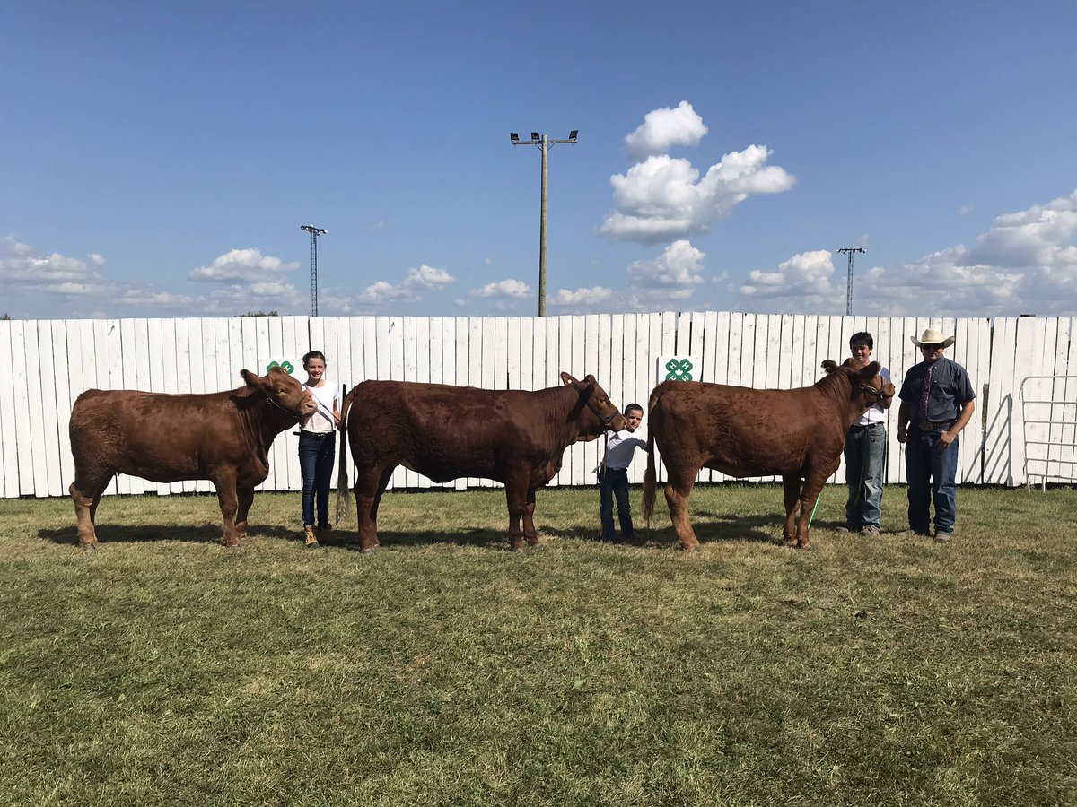 clteeple17's tweet photo. Another RRVAS Fall Fair over! #4Hfun #4HBeefClub #openshowfun #heifers #marketsteers #fair https://t.co/ifUZJaJEcx
