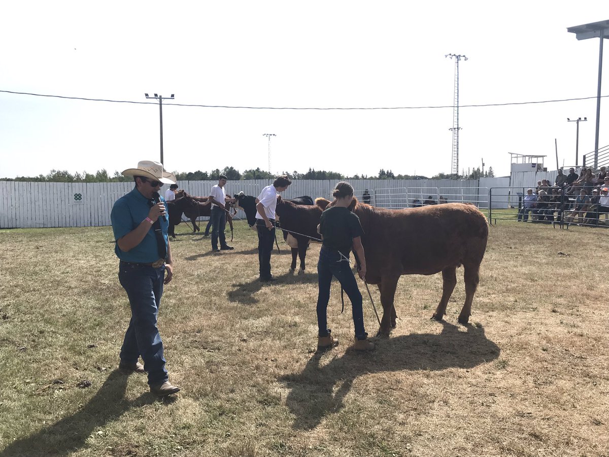 clteeple17's tweet photo. Another RRVAS Fall Fair over! #4Hfun #4HBeefClub #openshowfun #heifers #marketsteers #fair https://t.co/ifUZJaJEcx
