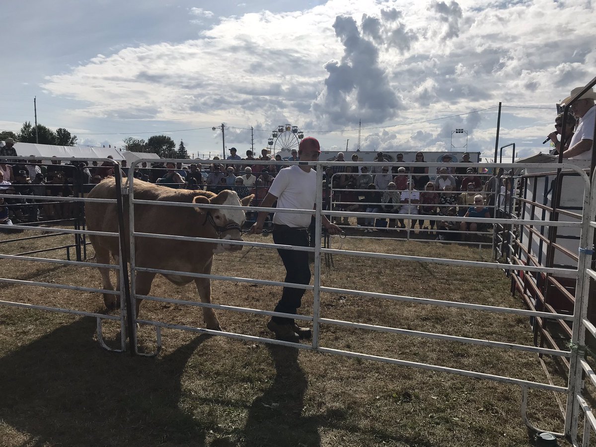 clteeple17's tweet photo. Another RRVAS Fall Fair over! #4Hfun #4HBeefClub #openshowfun #heifers #marketsteers #fair https://t.co/ifUZJaJEcx