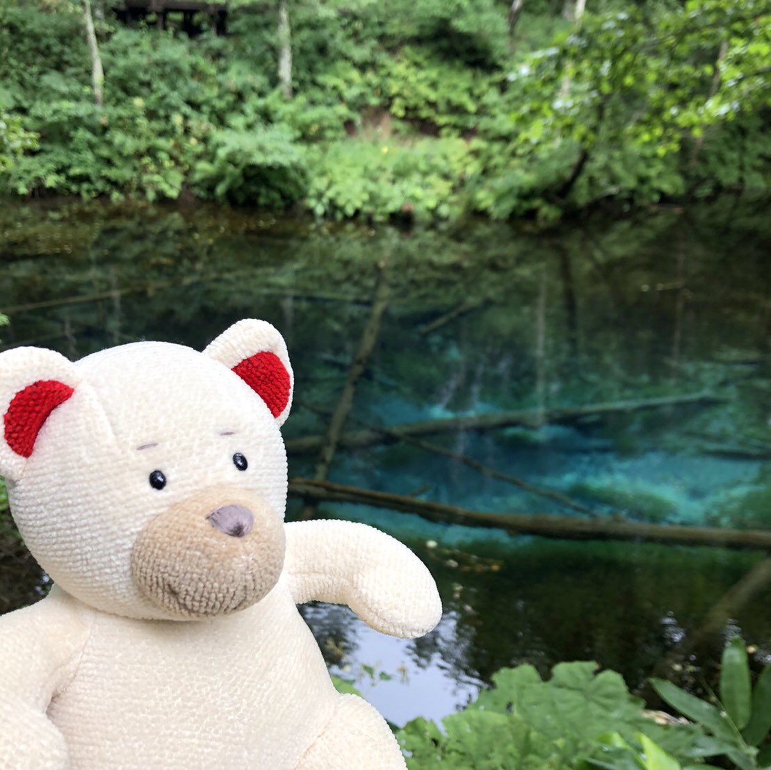 フェイラー Feiler フェイラーのアンバサダーのfeiler Bearのリーベです 夏休みは北海道 道東 を巡って 大自然に感動 夏休み 北海道 知床 阿寒湖 温泉 神の子池 納沙布岬 フェイラー公式キャラクター フェイラーアンバサダー フェイラーベア